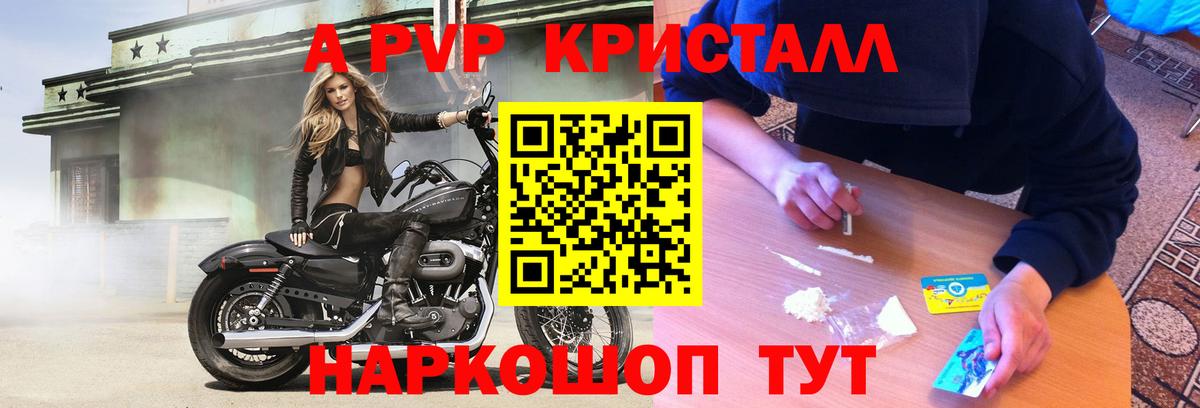 Alfa_PVP СК КРИС Волоколамск