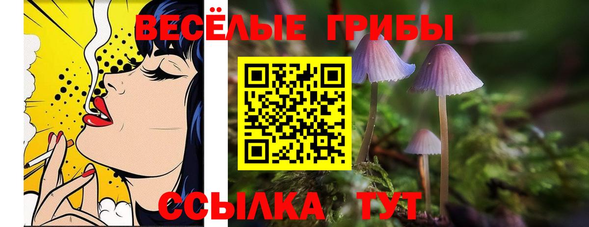 Псилоцибиновые грибы ЛСД Волоколамск